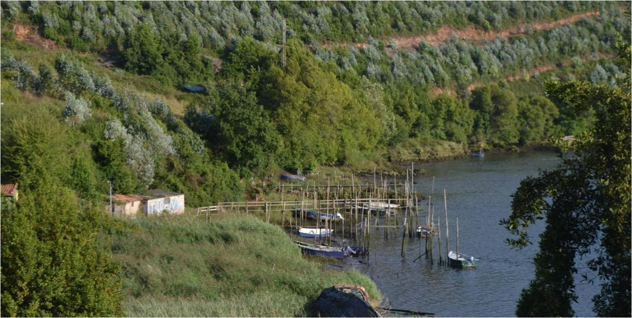 La Quintana Del Castillo Soto Del Barco Buitenkant foto